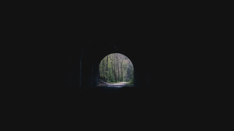 tunnel, arch, trees, alley, dark, 4k