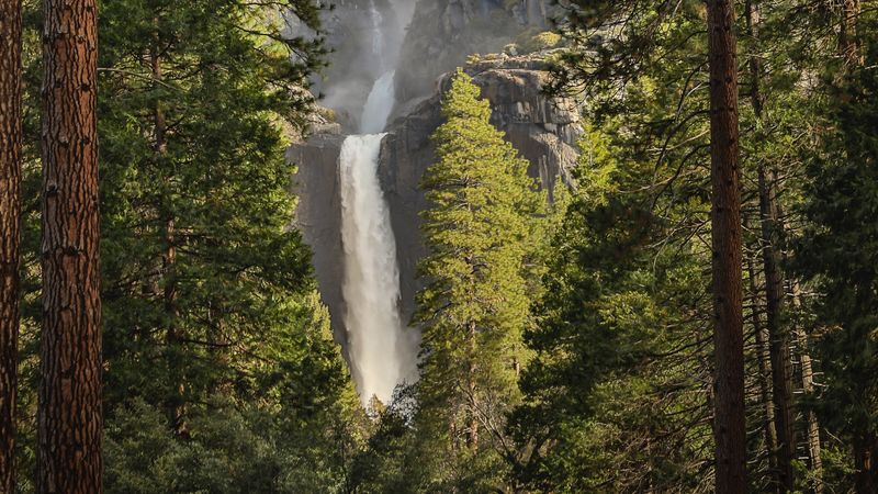 waterfall, trees, spruce, cliff, 4k