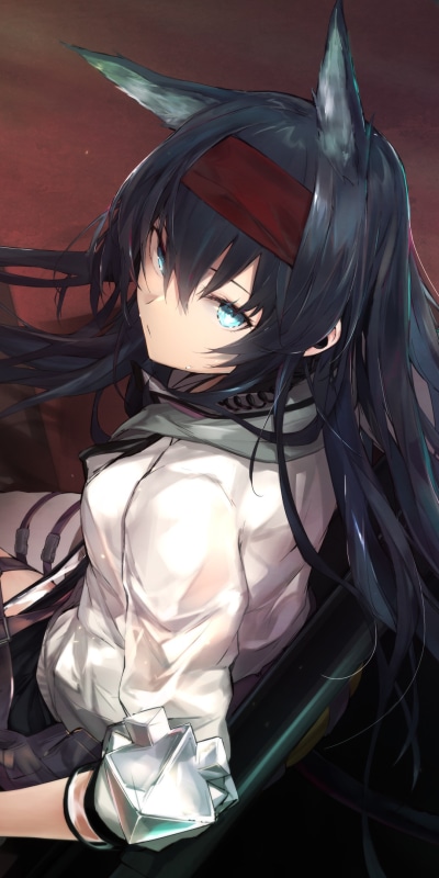 Video Game Arknights, Long Hair, Animal Ears, Blaze (Arknights), Black Hair, Aqua Eyes, 1080x2160