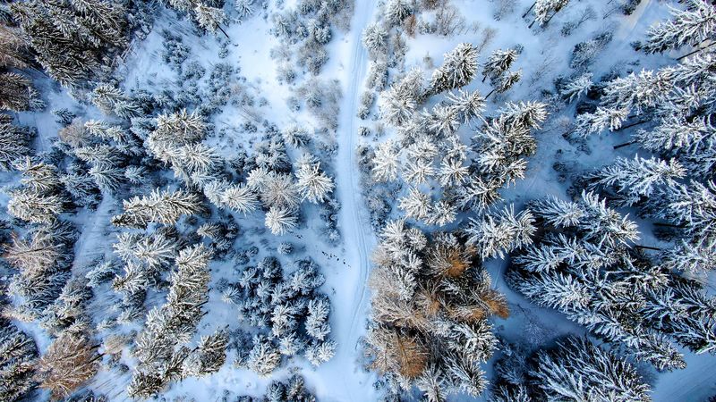 winter forest, road, aerial view, snow, 4k