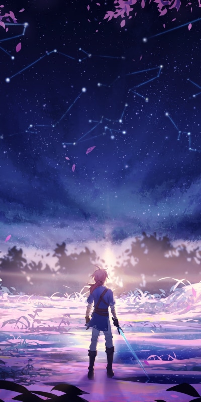 Video Game The Legend of Zelda: Breath of the Wild, Link, 1080x2160