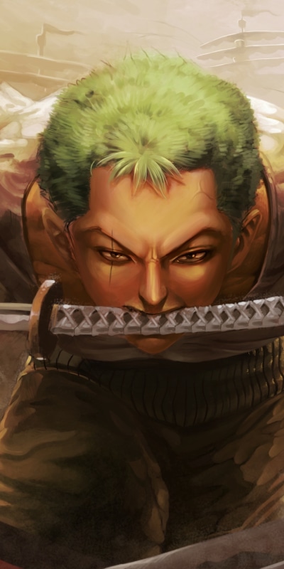 Anime One Piece, Roronoa Zoro, 1080x2160