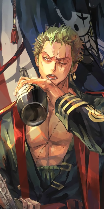 Anime One Piece, Green Hair, Roronoa Zoro, Drinking, 1080x2160