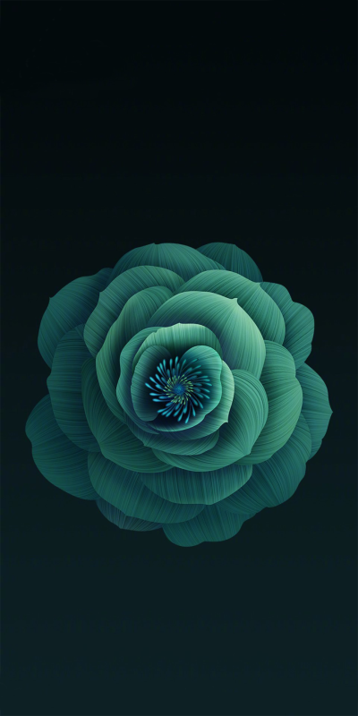 Artistic Flower, Rose, 1080x2160