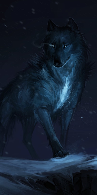 Fantasy Wolf, Night, 1080x2160