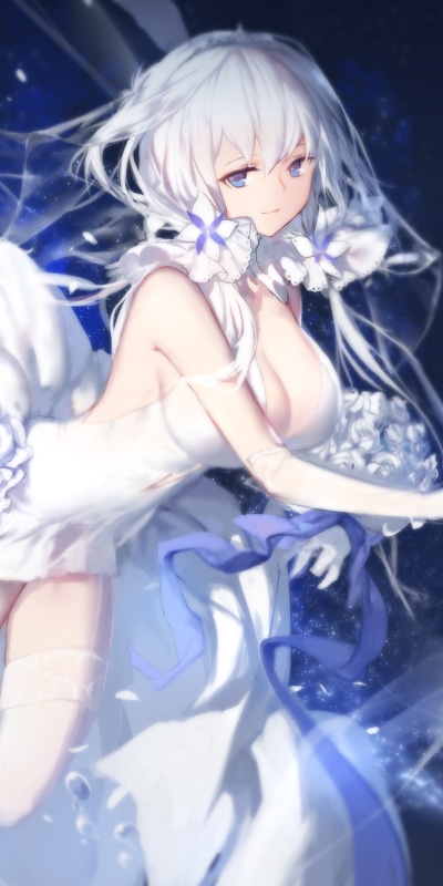 Anime Azur Lane, Illustrious (Azur Lane), 1080x2160