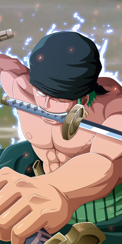 Anime One Piece, Roronoa Zoro, 1080x2160