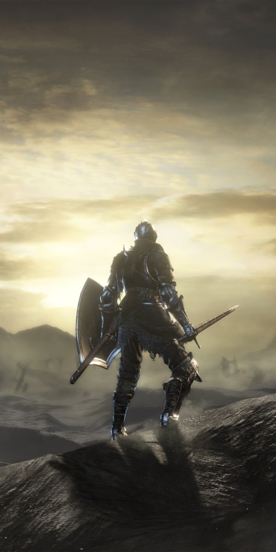 Video Game Dark Souls III, Armor, Warrior, Landscape, Knight, 1080x2160