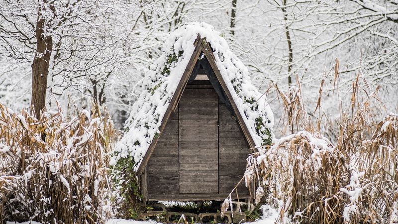 house, winter, river, snow, snowy, 4k