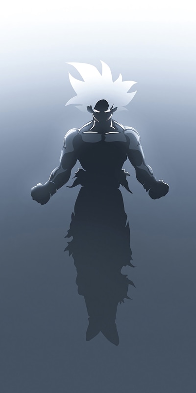 Anime Dragon Ball Super, Goku, Ultra Instinct (Dragon Ball), 1080x2160