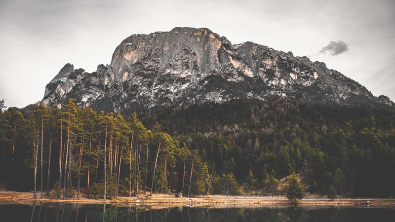 rock, lake, forest, trees, 4k
