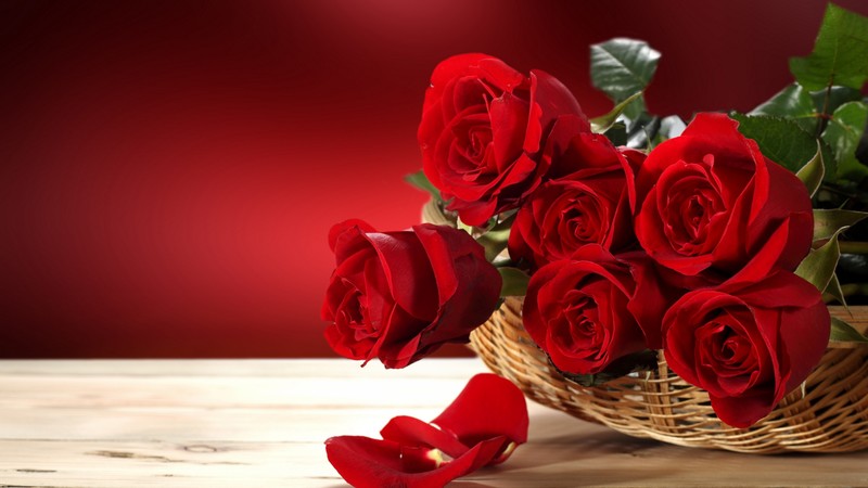 Roses, 4K, Flower bouquet, red