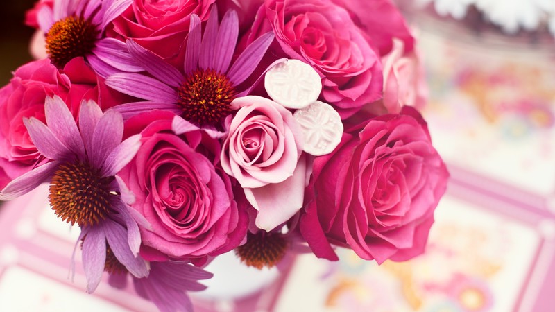 Garden roses, 4k, Flower bouquet, pink