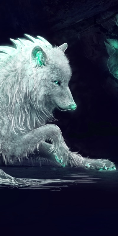 Fantasy Wolf, 1080x2160