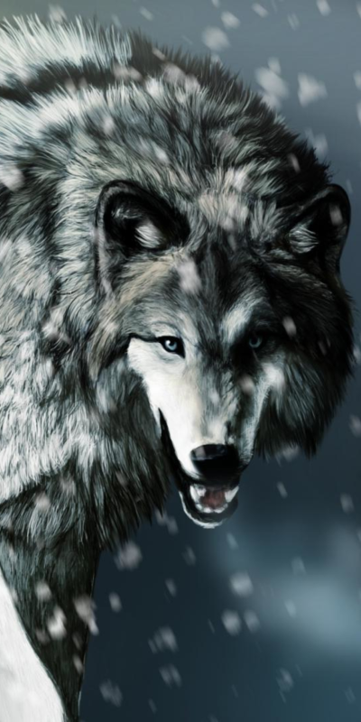 Animal Wolf, 1080x2160