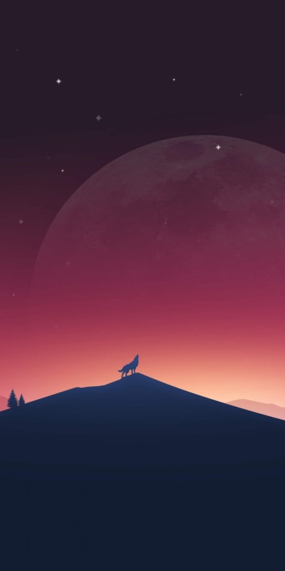 Fantasy Wolf, Nature, Silhouette, Night, Landscape, Moon, 1080x2160