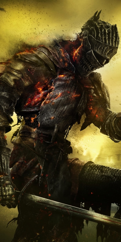 Video Game Dark Souls III, Dark Souls, Soul Of Cinder, Warrior, 1080x2160