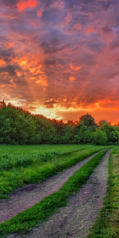 Earth Sunset, Path, 1080x2160