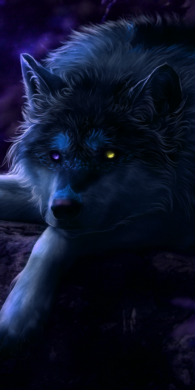Animal Wolf, Heterochromia, 1080x2160
