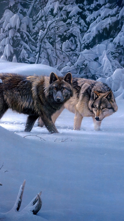 Animal Wolf, Winter, 1080x1920
