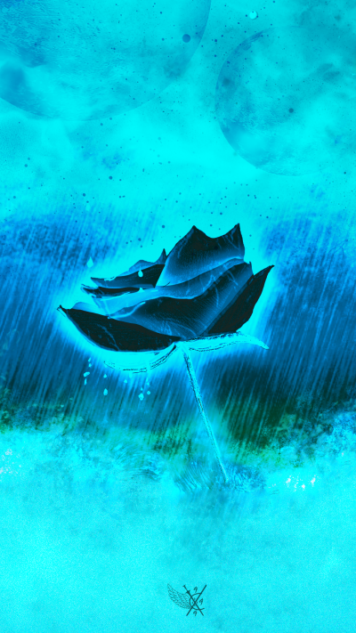 Artistic Flower, Blue, Rose, 1080x1920
