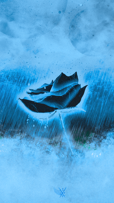 Artistic Flower, Rose, Blue, 1080x1920