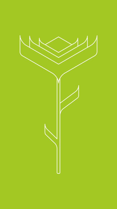 Artistic Minimalist, Rose, 1080x1920