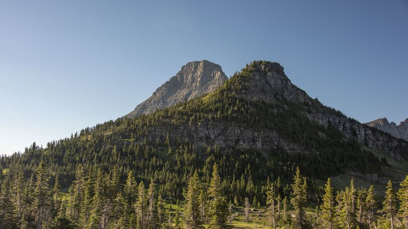 mountains, rocks, trees, spruce, sky, 4k