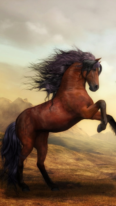 Animal Horse, Painting, Arabian Horse, 1080x1920
