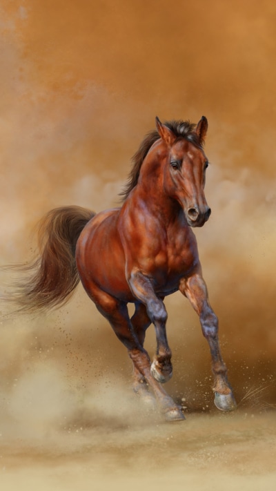 Animal Horse, 1080x1920