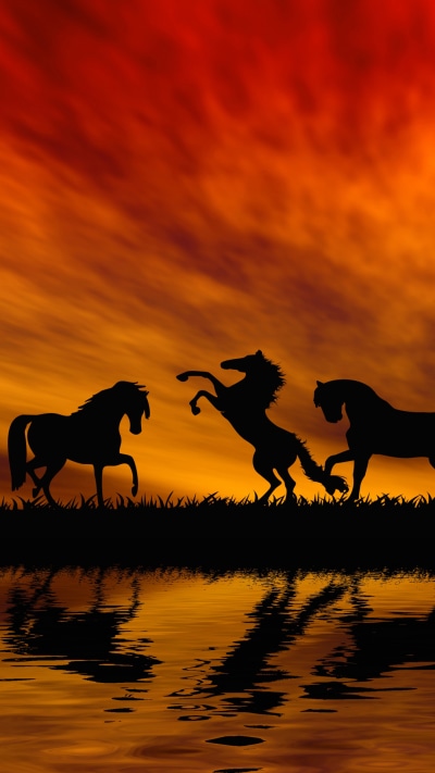 Animal Horse, Silhouette, Orange (Color), Sunset, Reflection, 1080x1920