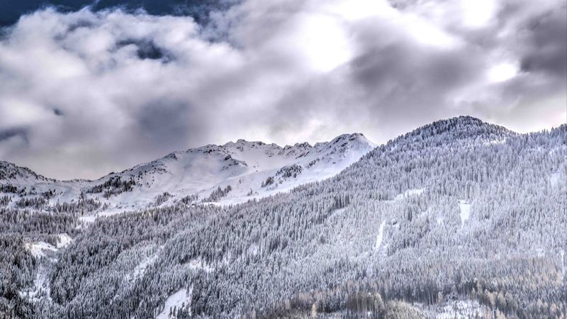 mountains, rocks, snow, forest, snowy, 4k