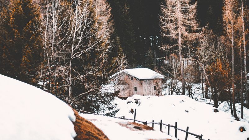 forest, fog, house, snow, 4k