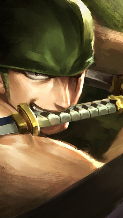 Anime One Piece, Roronoa Zoro, Green Hair, 1080x1920