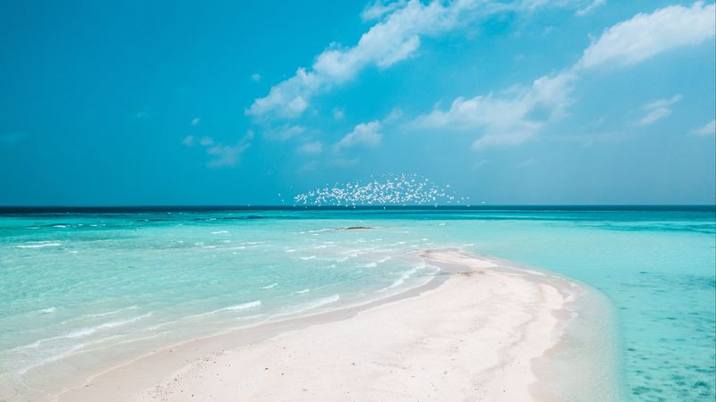beach, horizon, sand, coast, 4k