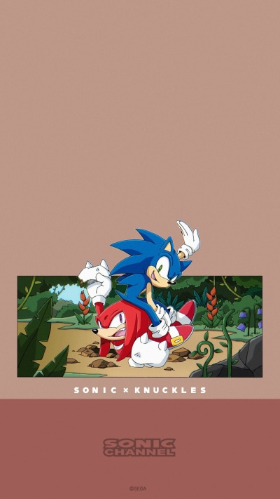 Video Game Sonic the Hedgehog, Knuckles The Echidna, Sonic Channel, 1080x1920