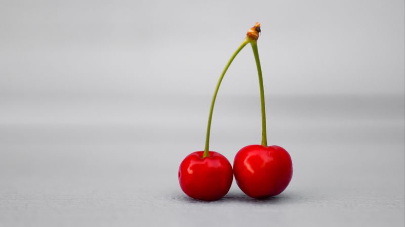 cherry, fruit, white background, 4k