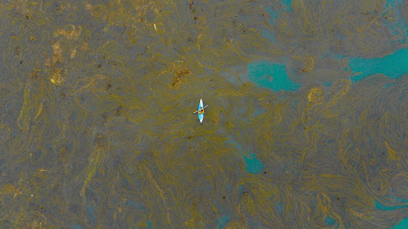 boat, lonely, stains, seaweed, 4k
