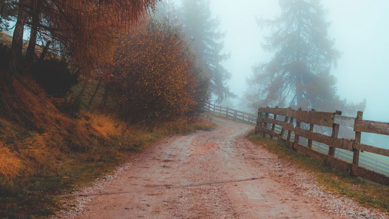 road, fog, distance, fence, 4k