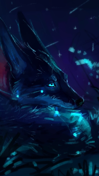 Fantasy Wolf, Night, 1080x1920