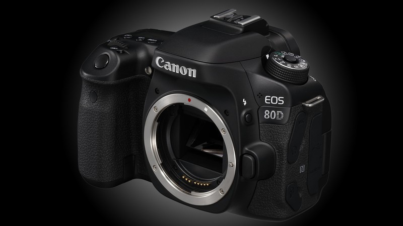 Canon EOS 80D, lens EF-S 18–135mm f/3.5–5.6, camera, review, 4k video, canon, single-lens, Canon zoom, reflex