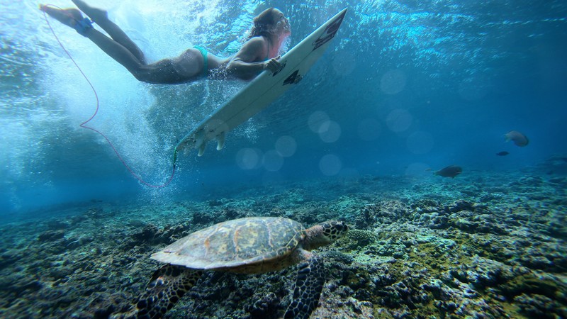 Surfing, girl, sea, underwater