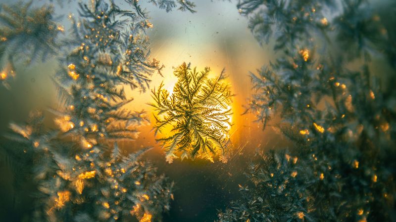 snowflake, macro, pattern, glass, 4k