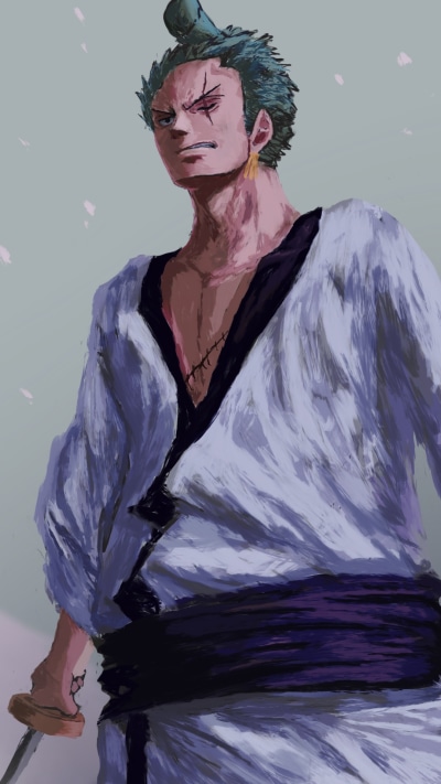 Anime One Piece, Roronoa Zoro, 1080x1920