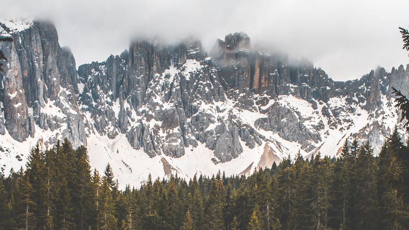 fog, lake, forest, rocks, reflection, 4k