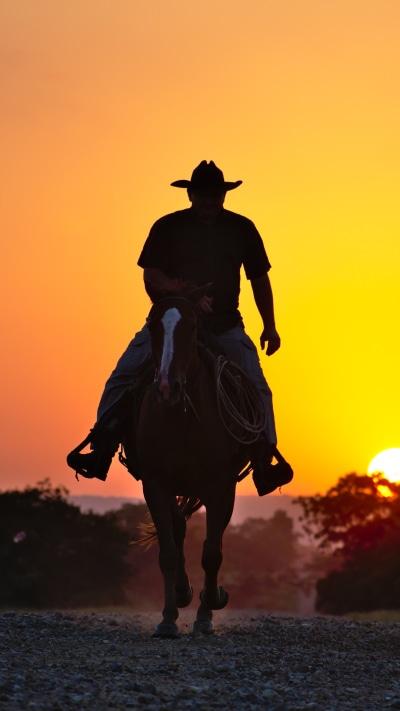 Photography Cowboy, Silhouette, Sunset, Horse, 1080x1920