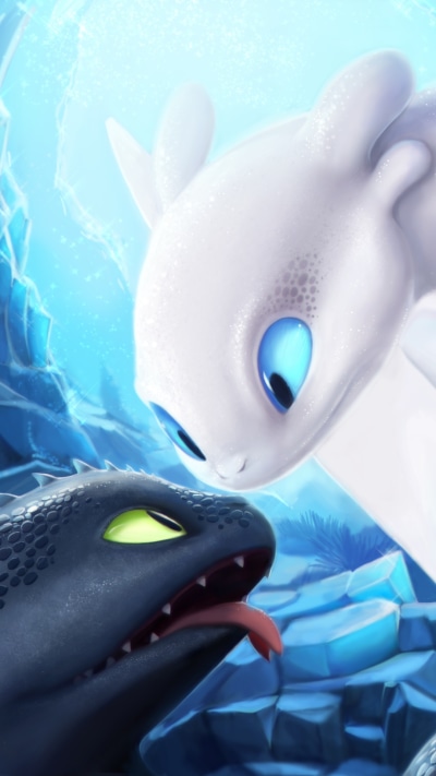 Movie How to Train Your Dragon: The Hidden World, Dragon, Toothless (How To Train Your Dragon), 1080x1920