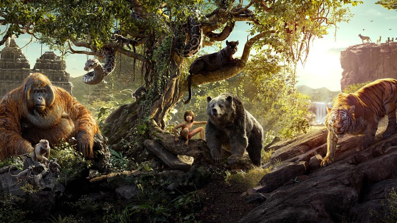 The Jungle Book, Best Movies, Mowgli, Bagheera
