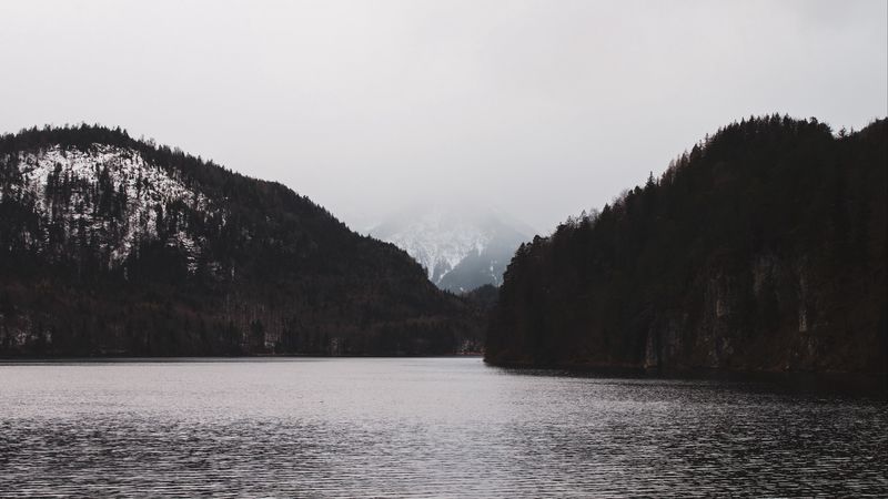 fog, mountain, river, forest, 4k