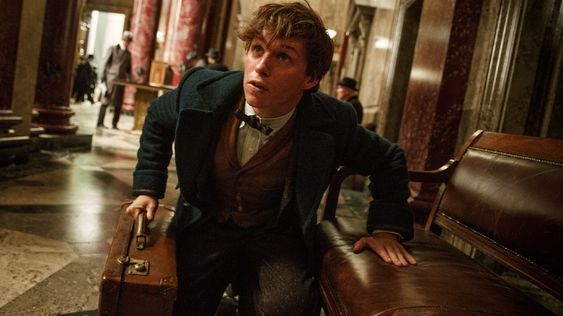 Fantastic Beasts And Where To Find Them, Eddie Redmayne, Best Movies